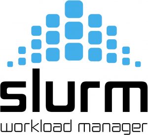 Server Management with Slurm