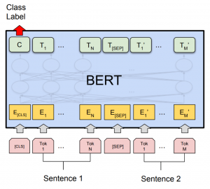 Author Classifier using BERT